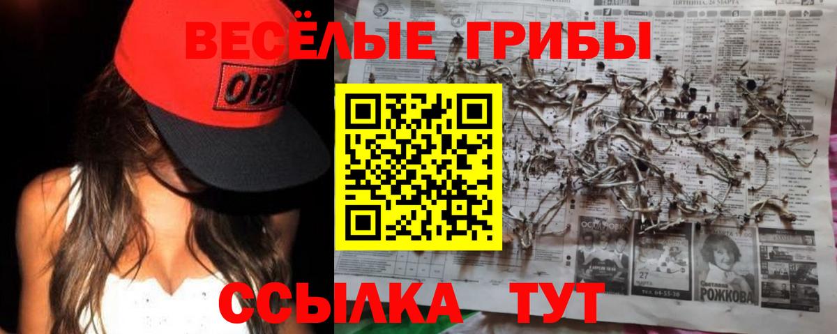 Псилоцибиновые грибы Psilocybe Новодвинск