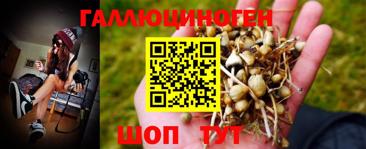 Псилоцибиновые грибы MAGIC MUSHROOMS  Новодвинск 