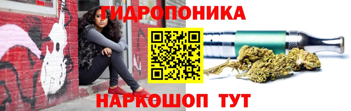 Конопля конопля Новодвинск